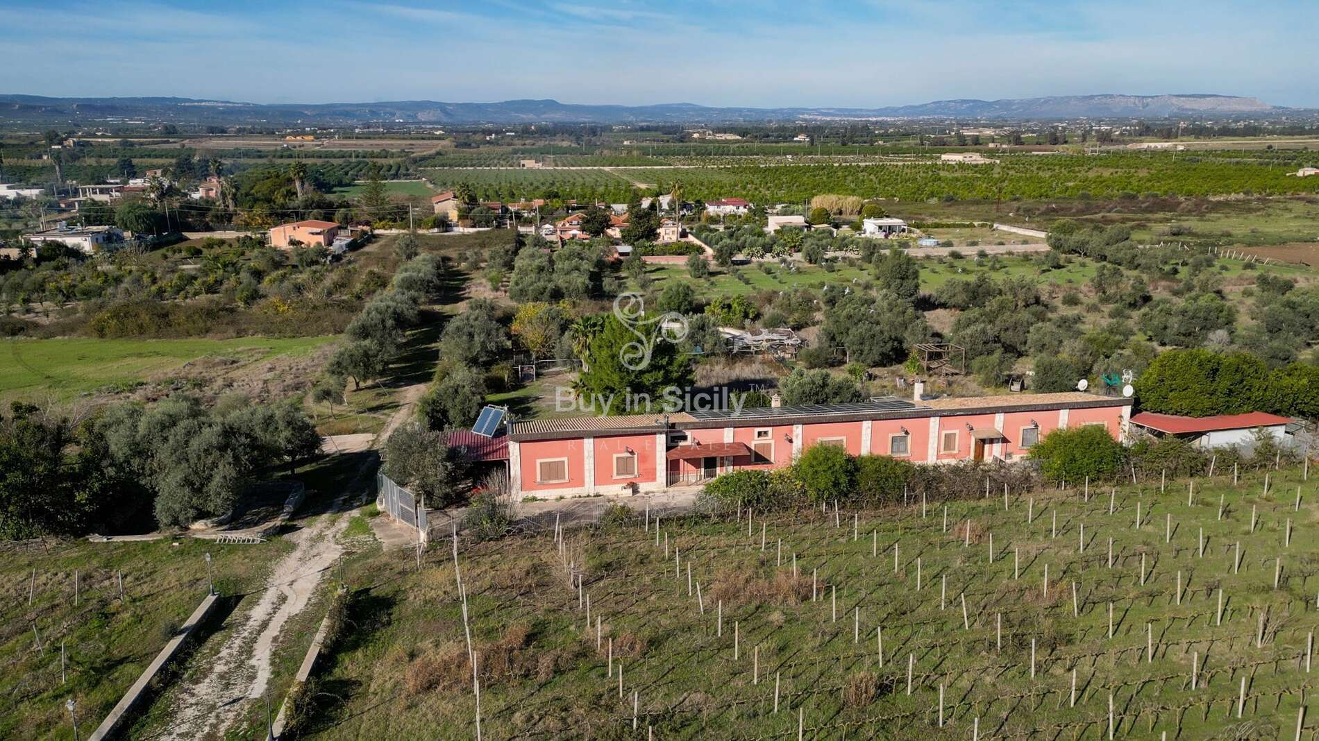 Wonderful land cultivated with vineyards and olive groves with villa and rural buildings, Siracusa.
